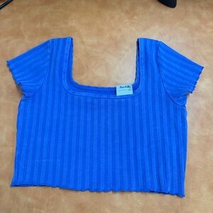 Aerie Blue Striped Crop Top
